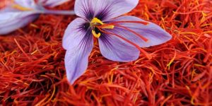 Inilah 5 Manfaat Saffron Untuk Ibu Menyusui !